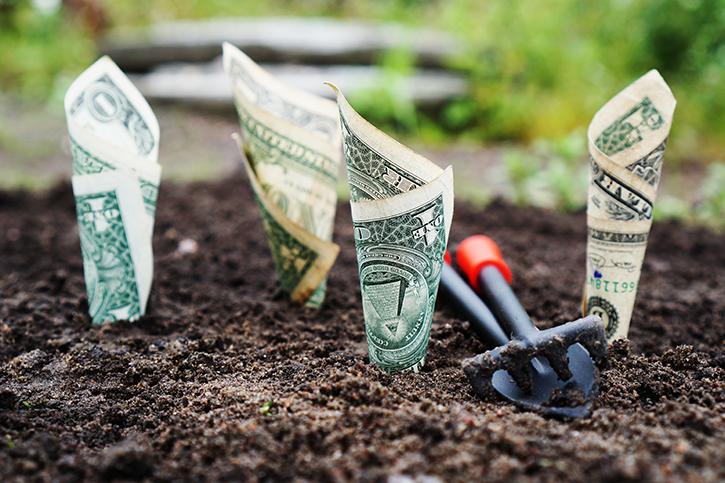 Dollar bills growing out of dirt