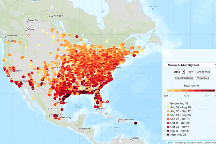 2018 U.S. North and Central American maps of monarch migration